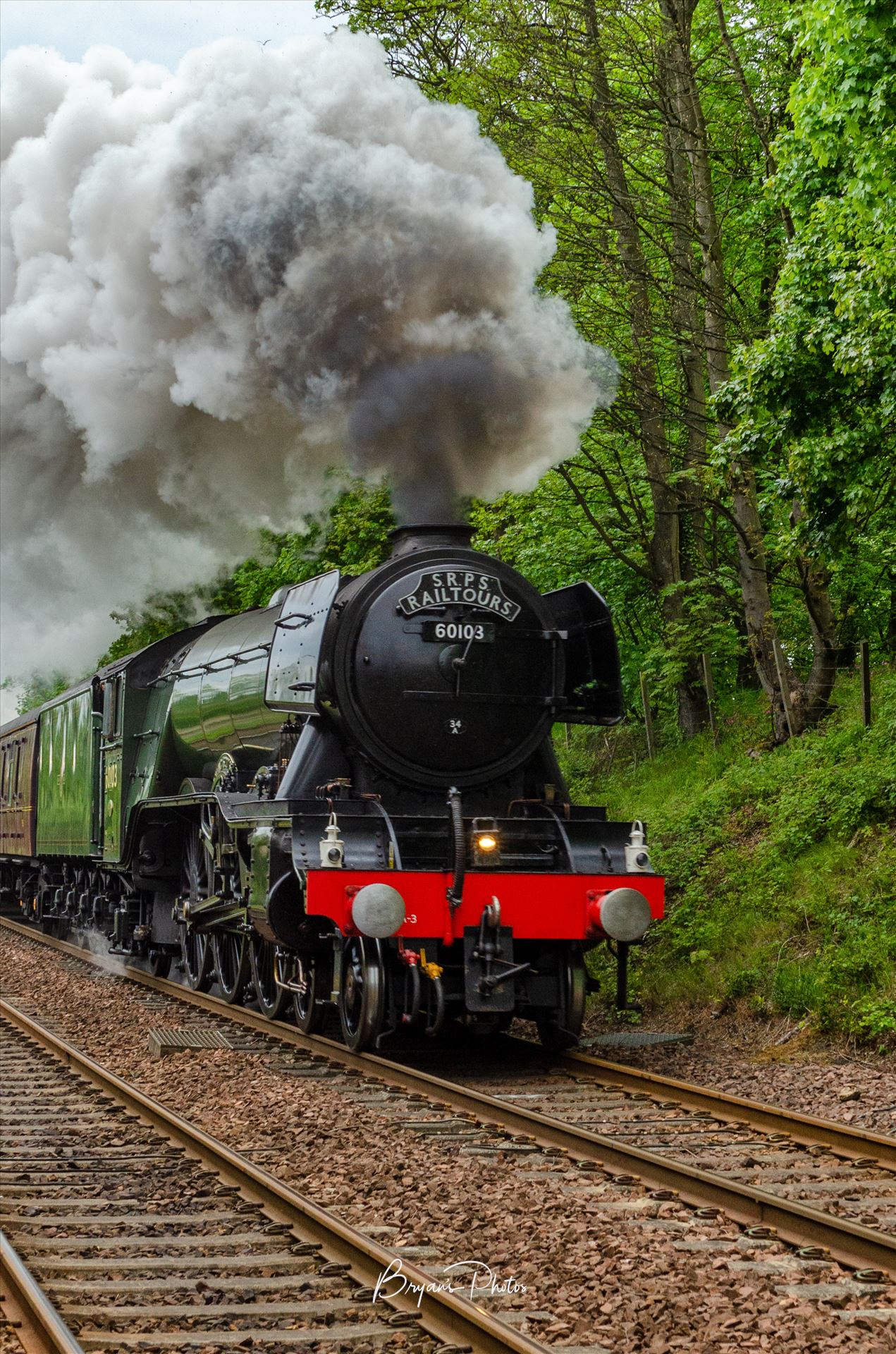 Flying Scotsman Portrait - A portrait photograph of the Flying Scotsman taken as it approaches Dalgety Bay during a trip round the Fife circle. by Bryans Photos