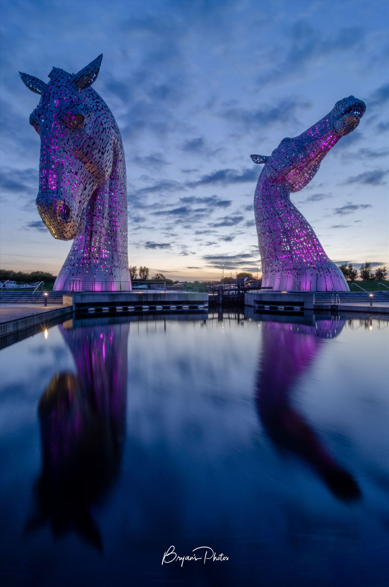 Kelpies - A photograph of the Kelpies lit up in purple taken just after sunset. by Bryans Photos