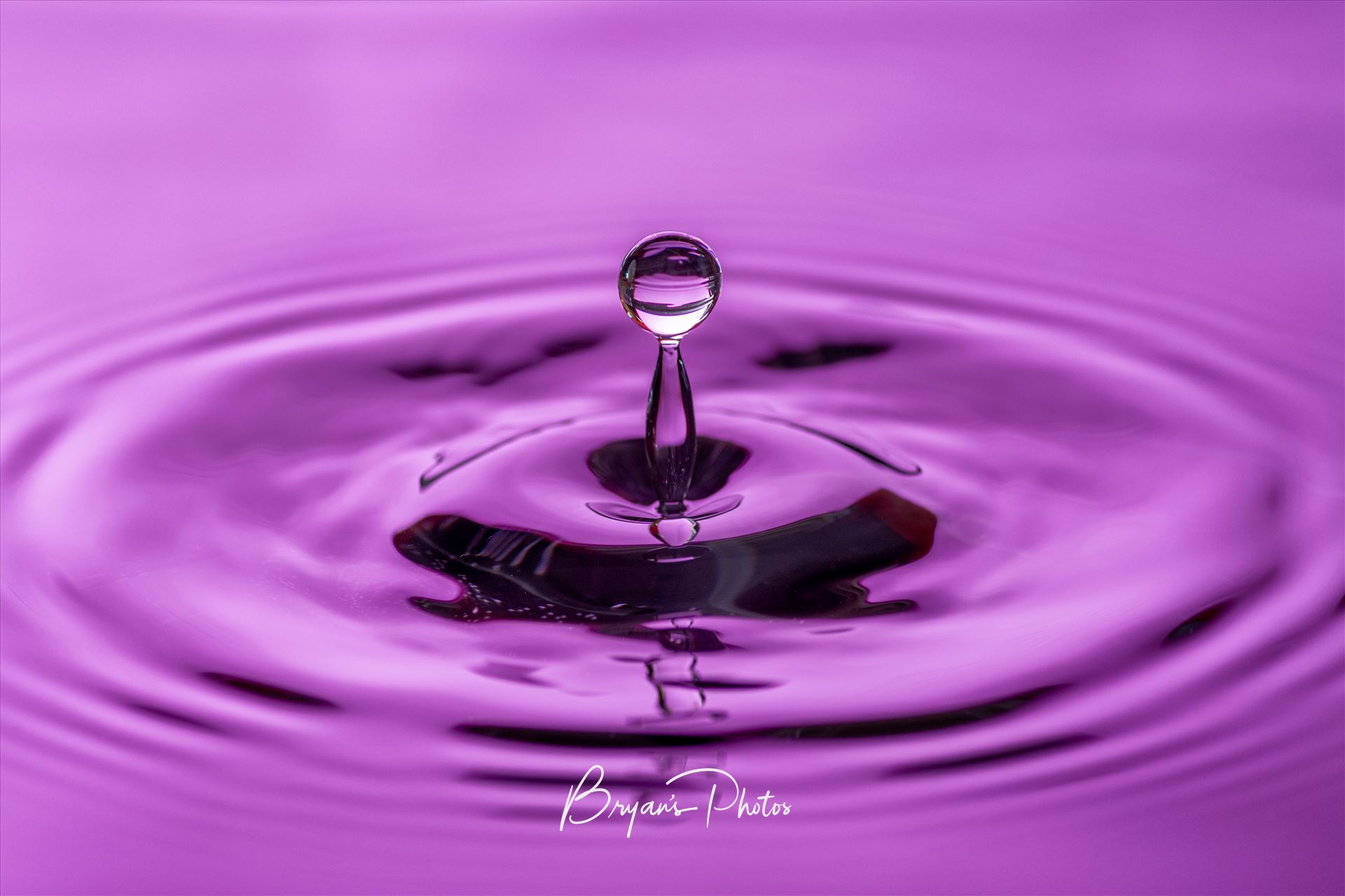 Purple Splash - Wall art of a water drop. by Bryans Photos