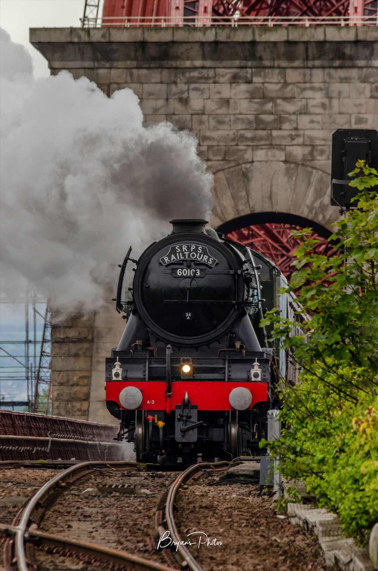 60103 and the Rail Bridge - A portrait photograph of the Flying Scotsman taken as it crossed the Forth Rail Bridge approaching North Queensferry. by Bryans Photos