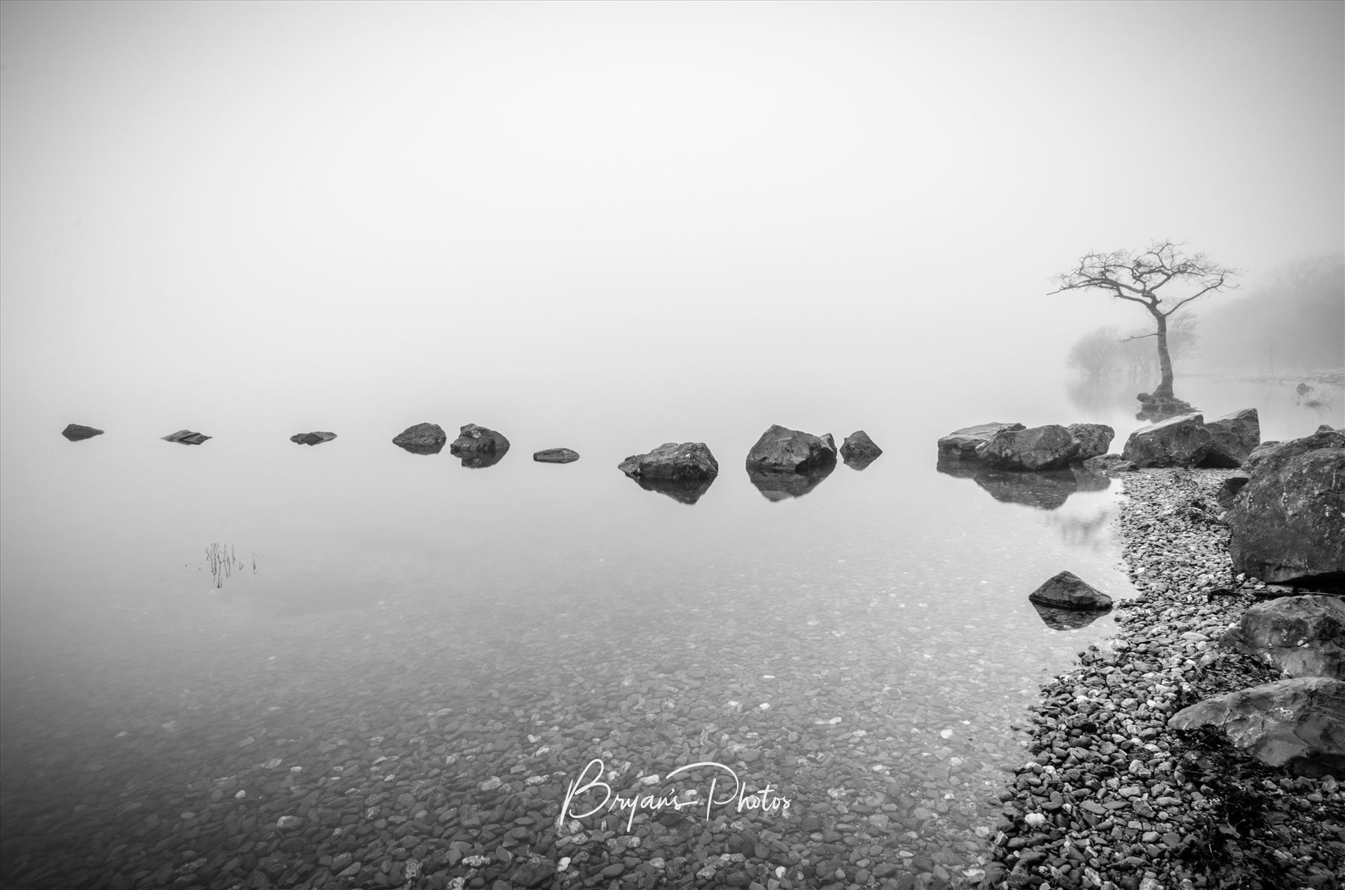 Loch Lomond In The Mist - A black and white photograph of Milarrochy Bay Loch Lomond. by Bryans Photos