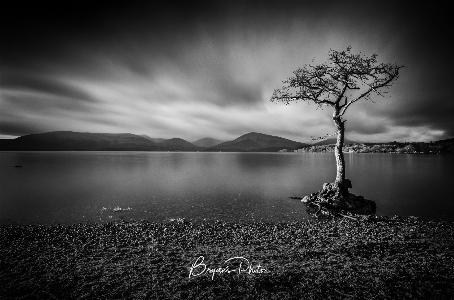 Milarrochy - A black & white photograph of Loch Lomond taken from Milarrochy Bay on the eastern shore of the loch near Balmaha. by Bryans Photos