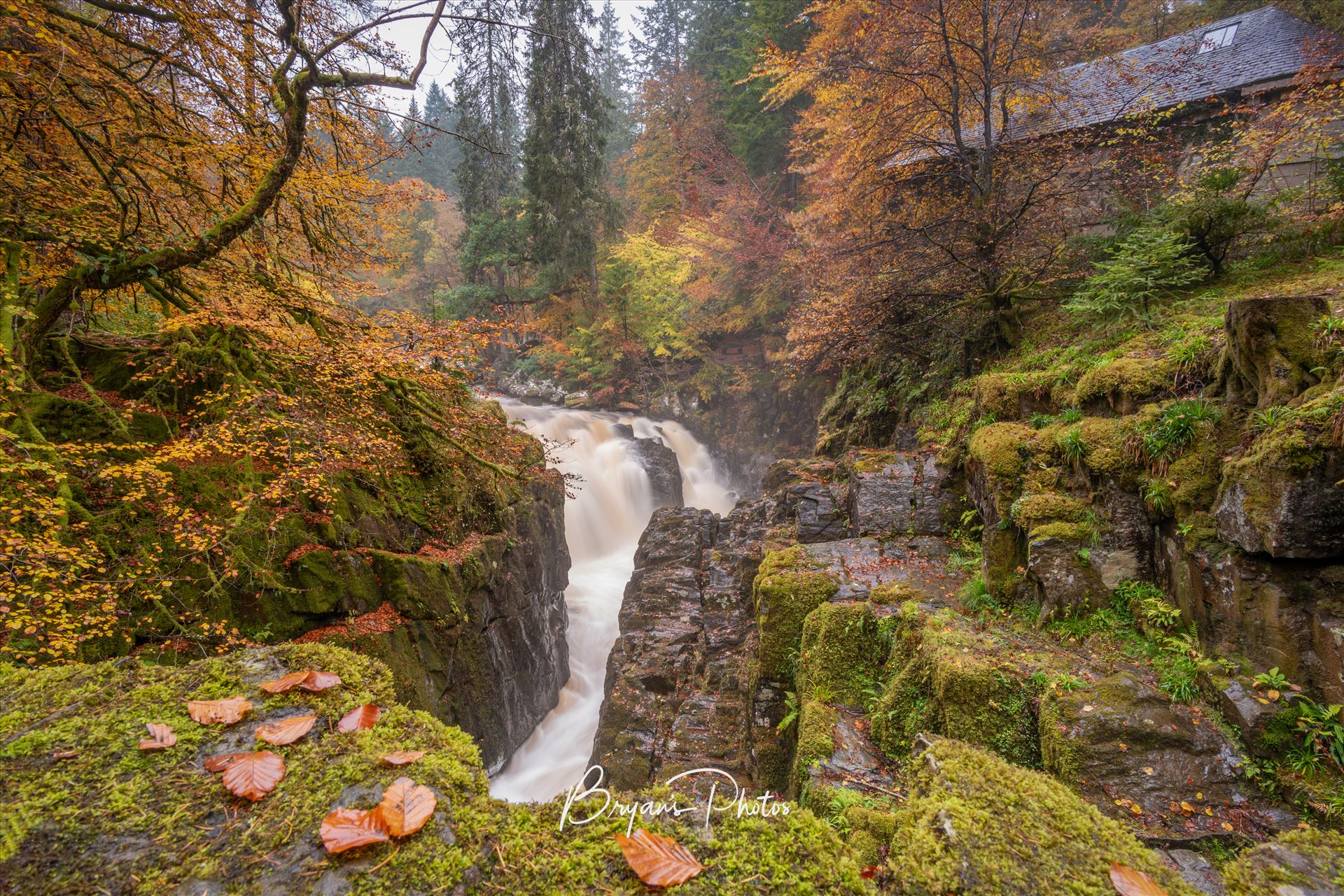 The Hermitage - A photograph of the Hermitage taken on an autumn afternoon. by Bryans Photos