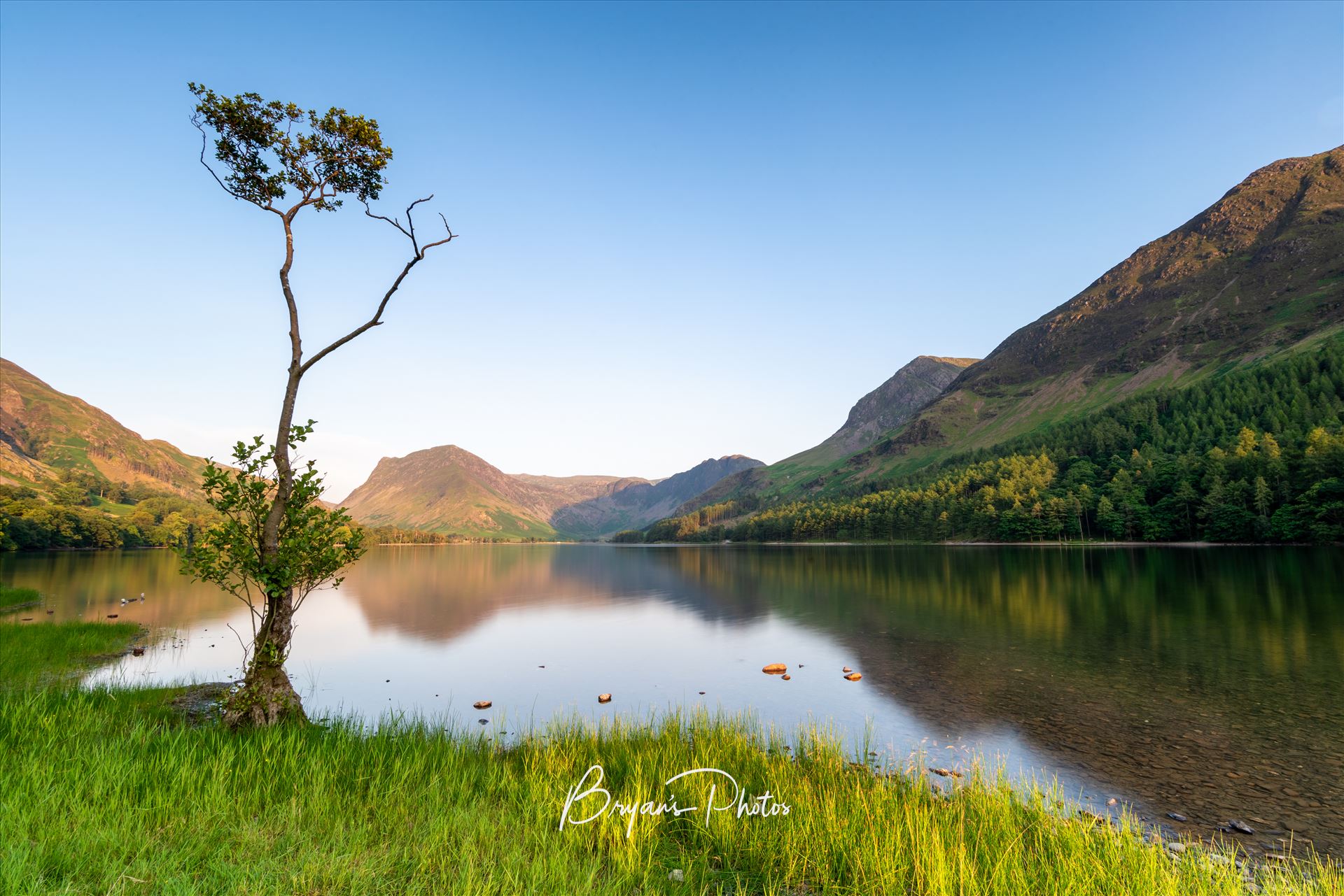 Loan Tree at Buttermere - A photograph of the loan tree at Buttermere Lake in the Lake District. by Bryans Photos