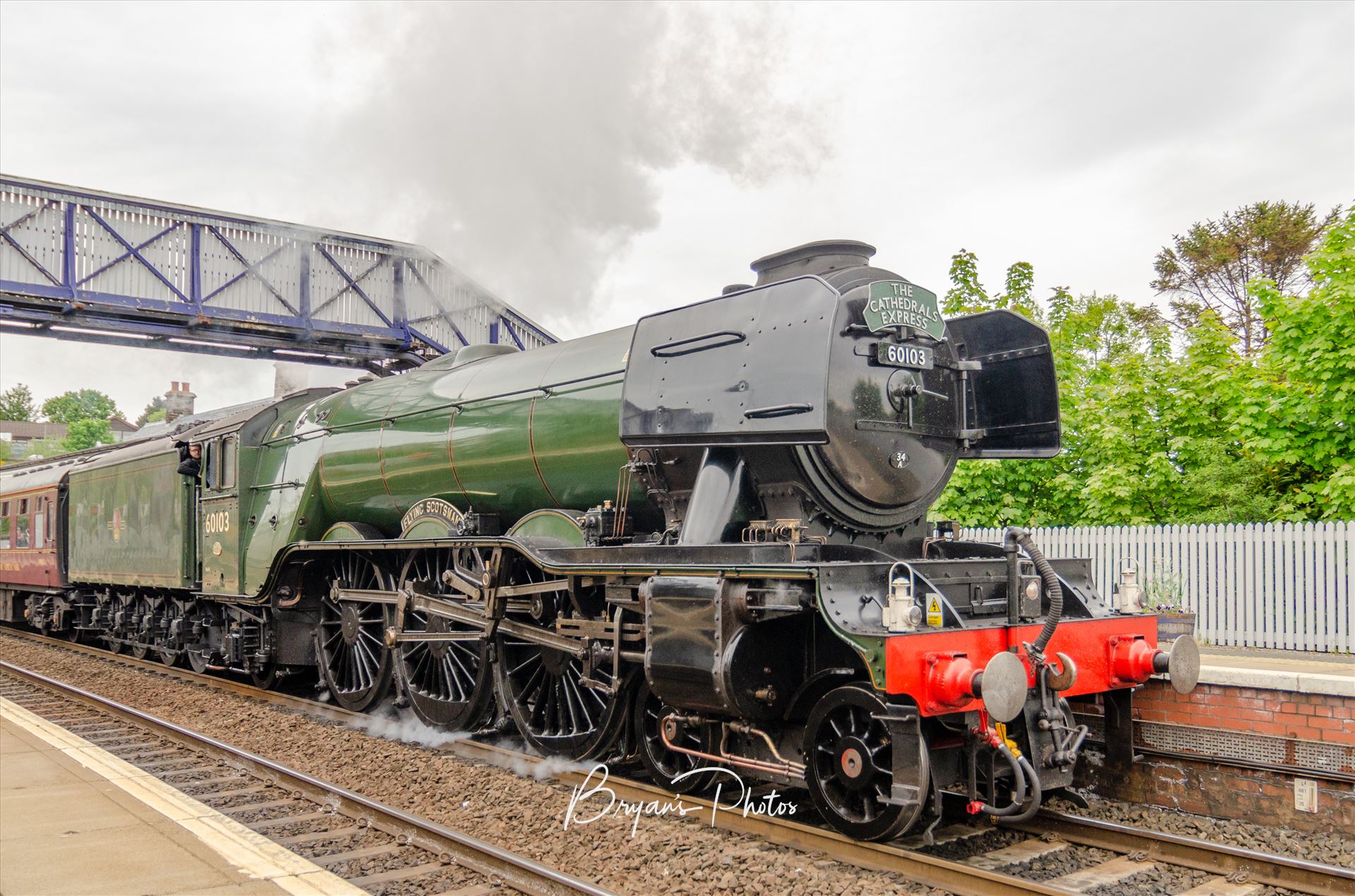 The Scotsman at North Queensferry - A photograph of the Flying Scotsman passing through North Queens ferry as it heads back to Edinburgh via the Forth Rail Bridge by Bryans Photos