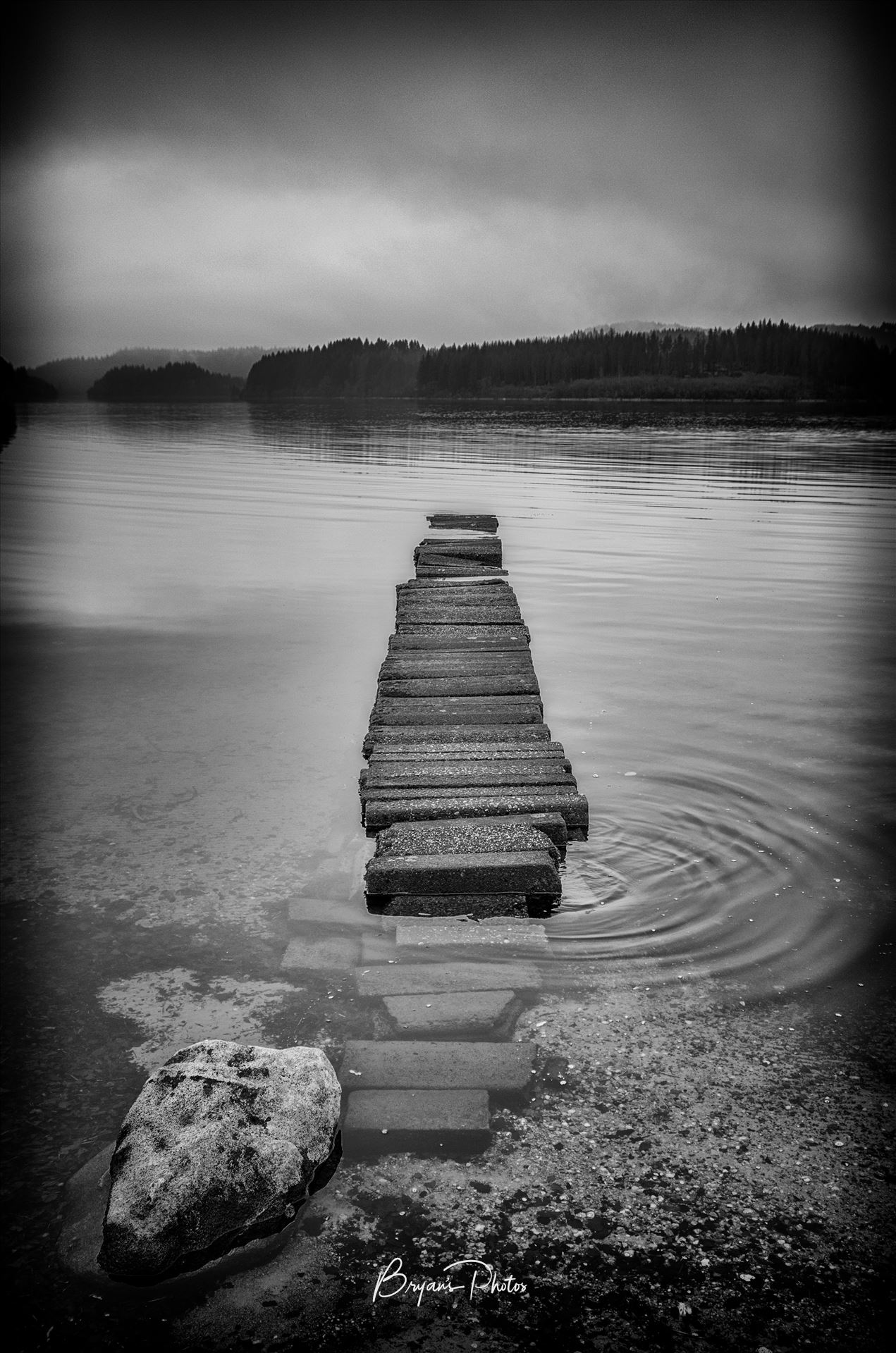 Loch Ard Portrait - A black and white photograph of an old jetty at Loch Ard taken from Kinlochard. by Bryans Photos