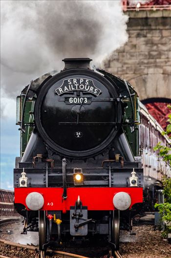 A portrait photograph of the Flying Scotsman taken as it crosses the Forth Rail Bridge.