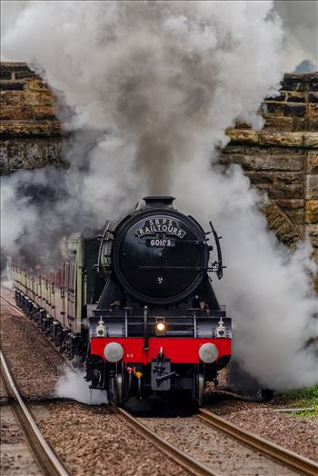 A colour photograph of the Flying Scotsman under full steam approaching Dalgety Bay on the Fife circle.