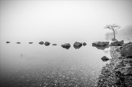 A black and white photograph of Milarrochy Bay Loch Lomond.