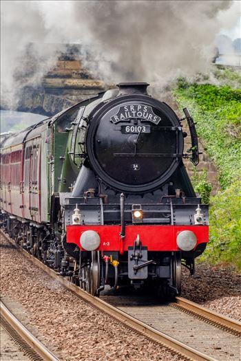 Full Steam Ahead - A photograph of the Flying Scotsman as it powers towards Dalgety Bay on the Fife circle.