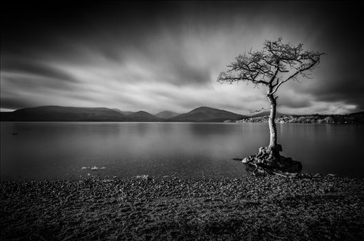 A black & white photograph of Loch Lomond taken from Milarrochy Bay on the eastern shore of the loch near Balmaha.