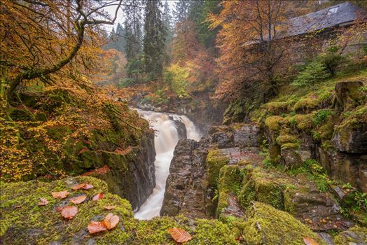 A photograph of the Hermitage taken on an autumn afternoon.